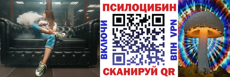 hydra вход  купить наркотики цена  дарк нет официальный сайт  Галлюциногенные грибы MAGIC MUSHROOMS  Острогожск 